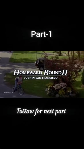 cartoon channel on Instagram: "Homeward bound part 1😍🤗 #hollywoodtamil #childhood #memories #tamilcartoons #oldmemories❤️"