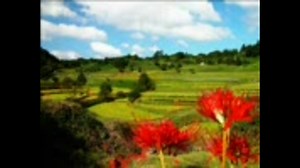 【完全作業用】中世ヨーロッパ風ＢＧＭ集