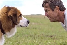 La razón de estar contigo - HBO Online