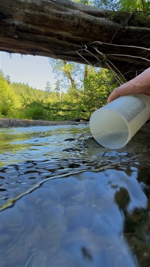 BLACK FRIDAY SALE: 20% OFF purifier bottles. One-press purification for travel, camping, or survival. No code needed. | GRAYL