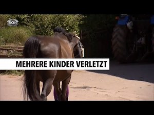 Unfall auf Reiterhof | RON TV