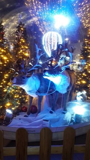 Merry Chirstmas, Marseille, France #damarsella #france #christmas #merrychristmas #marseille #noel