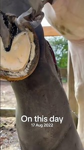 #onthisday this was one of my very first videos to blow up!!! 🤗