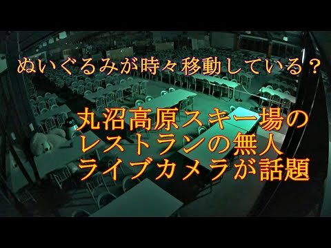 不気味なライブ映像