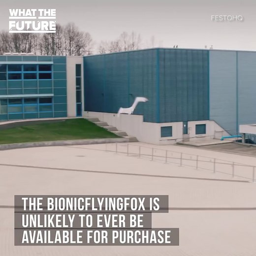 Check out this robotic flying fox - Video