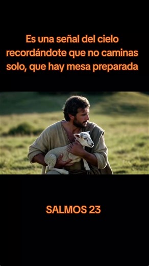 Videos de febe (@febe2263) con “sonido original - febe”