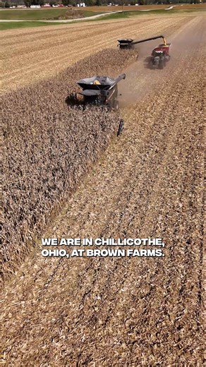 First stop of the #FendtHarvestTour: Chillicothe, Ohio 🌽 We met up with Brian Brown from Brian's Farming Videos to dig into his family’s history, the highs and lows of harvest season, and why the #Fendt IDEAL combine has a permanent spot in his equipment lineup. We’re hitting 5 states in 11 days for a behind-the-scenes look at real farmers, real stories, and real results. 🎥 Watch Episode 1 now at https://www.youtube.com/watch?v=JhHRASaqceo — LIKE and SUBSCRIBE to follow along each day as the t