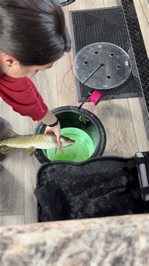 Mid-Day Pike Ice Fishing Techniques