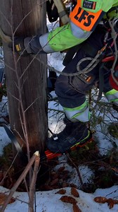 Gekko pole climbing shoes are engineered to deliver a secure grip and optimal performance on both wooden and composite poles. With adjustable spikes and grip plates, the system can be adapted to different materials. #Lineman #UtilityWork #framtiproduction #gekkopoleshoe | Framti