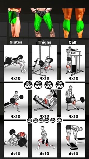 Ultimate Leg Day Best Full Leg Workouts for Strength Size!