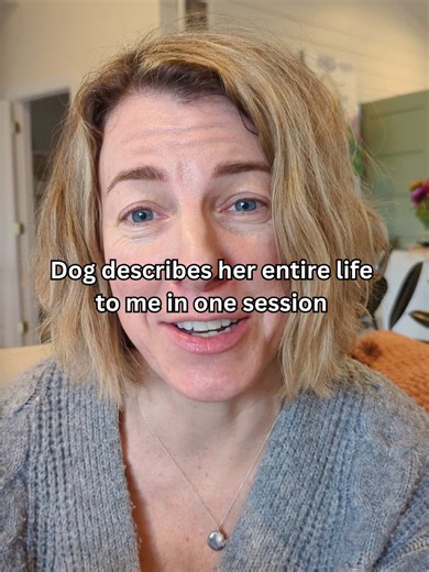 Rosie had so much to share! Not even a full week after the session, Rosie’s Mom shared that they understand each other better than ever. ❤️ #dogmom #therapydog #familydog #permedium #animalcommunicator