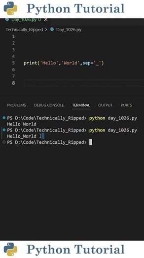 The Hidden Parameter of Print | Python Tutorial