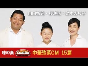 味の素 CookDo 中華惣菜CM 15篇