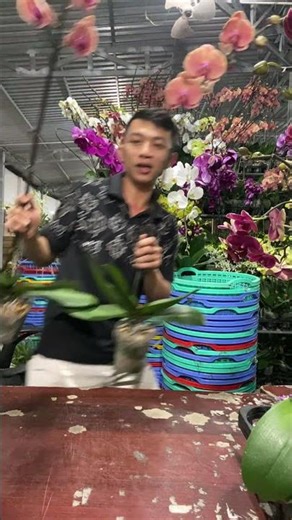 Cảnh nổi bật từ buổi phát trực tiếp. Hotline: 0903177978 (Loan)