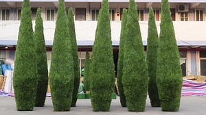 Newest Artificial Cypress Tree Anti-UV  Customized High Simulation Cedar Tree Open air Large Faux Tree for Decoration