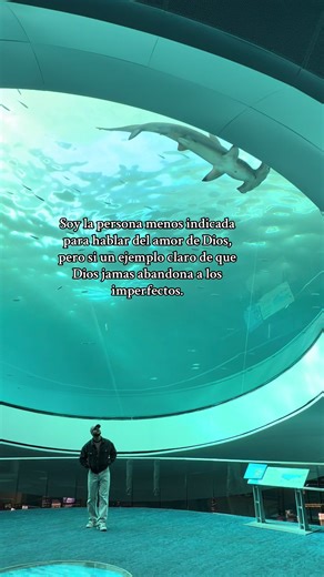 Sebas (@sebas_vp6)’s videos with sonido original - OneTapes1950s ❤️‍🔥