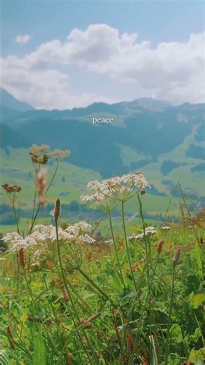 Peace in Swiss Alps: Wildflower Meadows Paradise 🌸🏔️ #Shorts