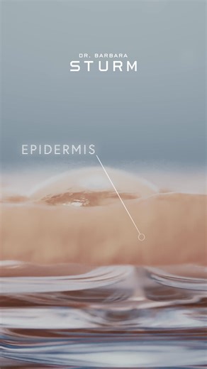 Celebrating Dr. Barbara Sturm’s iconic serum innovation; the Hyaluronic Serum. Clinically proven to visibly slow skin aging and deliver lasting hydration.*​ *CLINICAL TEST OF 56 DAYS. For Dr. Barbara Sturm, skin aging is associated with biological aging, including the appearance of fine lines and wrinkles, loss of elasticity and vitality, dehydrated skin and dullness. | Dr. Barbara Sturm
