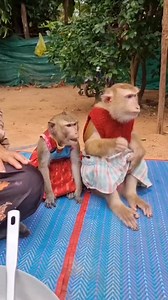 YaYa so happy when play with twins 👯‍♀️ 😍 | YaYa Family