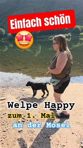 🤩🥰 Ist das nicht schön? Mit Welpe Happy zum 1. Mal an der Mosel. #labradorwelpen #welpenerziehung