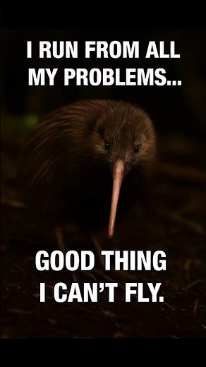 I run from all my problems...#jokes #funny #kiwi #fypシ #animals
