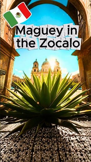 This Plant Connects Mexico’s Past and Present 🌵🇲🇽 #mexico #travel #turismoméxico