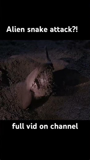 #movie #recap #film #movieclips #hollywood #trending #thriller #explore #alien #scifi #explorepage