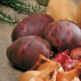 Viking Purple Potato - 2 Pound Bag