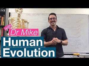 Human Evolution