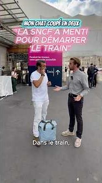 CAT CUT IN TWO: "SNCF LIED TO START THE TRAIN!"