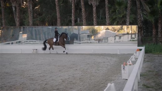 2.5K views · 22 reactions | "The half-halt is like a valve system....