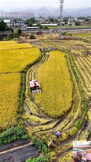 Super Fast 🏃‍♂️ Paddy Cutting Machine for Farmer Harvesting Helping 🎑🚄#shortvideo #harvesting #paddy