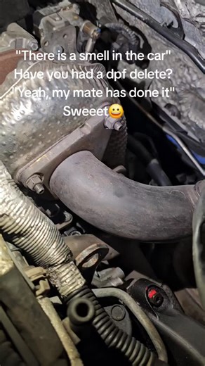 Friends can be helpful but don't ask them for a dpf delete😀#dpfdelete #tuning #friends #carrepairs | Piston&Rotor the Garage
