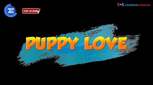 Các bạn có biết ‘Puppy Love’ nghĩa là gì không? Hãy dành 1 phút học tiếng Anh với VOA nhé! | VOA Tiếng Việt