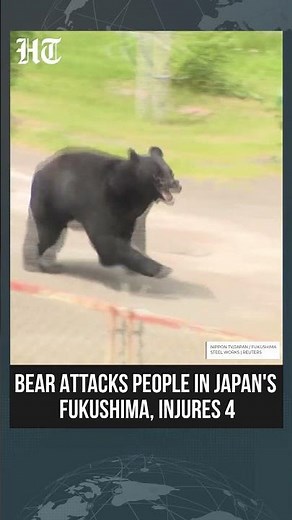 Bear Attacks Residents in Japan’s Fukushima, Four Injured in Shocking Incident | #shorts