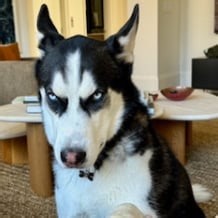 TPI -- Best drills to fix late ground reaction forces.