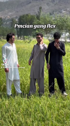 #pakistan_model_college #pmc_collage #pmc #pmsian_khall