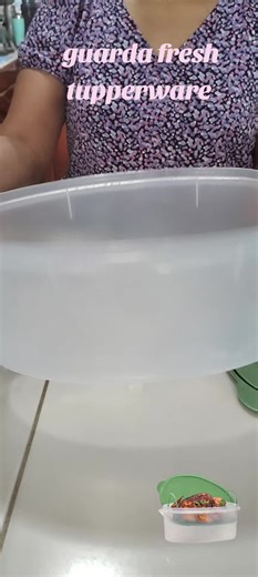 Guarda Fresh Tupperware de 6 Litros: Frescura y Calidad