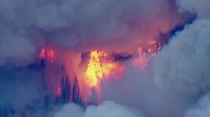 Caldor Fire: Wall of flames races through Northern California