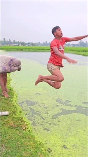 The cow ran and threw herself into the water#funny,2001