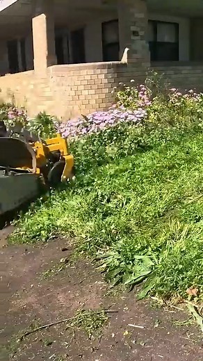 Satisfying Lawn Mowing | Blade Mate Lawn Care