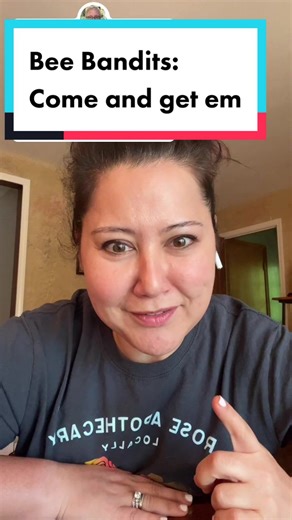 Bee Bandits Challenge: Steal the Cedar Hive!