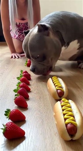 Owner vs Bully: The Floor-Level Face-Off Part 2