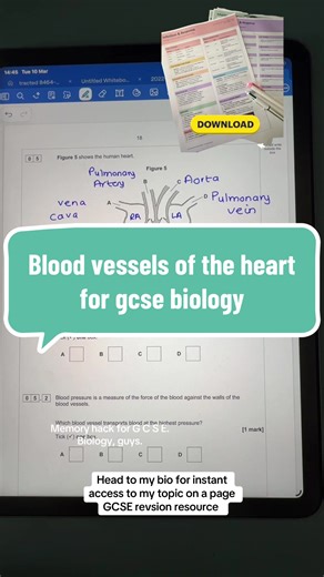 Understanding Blood Vessels of the Heart for GCSE Biology