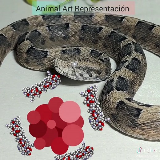 Patoco: Toxina que Lucha Contra el Cáncer