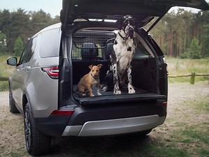 These are the best cars for dog owners