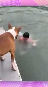 Funniest Summer Fails 2025! 😂Beach slips, pool fails, and hilarious moment