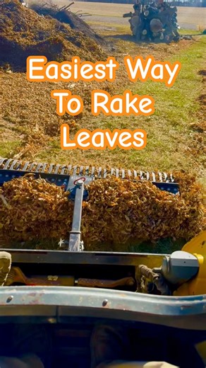 Best Way To Rake Leaves With Heavy Hitch Landscape Rake #youtubeshorts #fall #tree #lawn