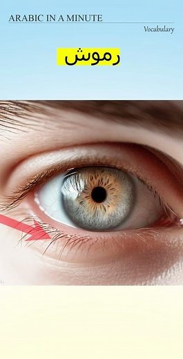 Parts of the eye in Arabic | أجزاء العين #shorts