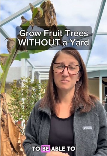 How to Grow Fruit Trees in Containers without a Yard